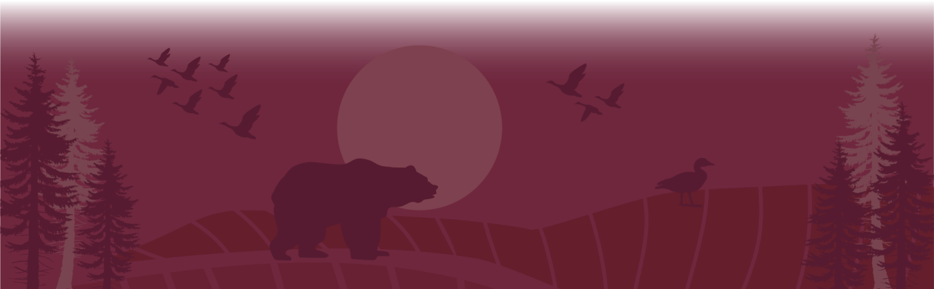 background graphic of bear in landscape